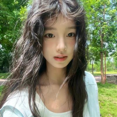蒂科与鲨鱼